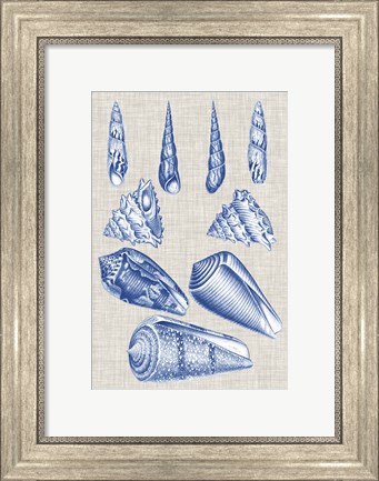 Framed Navy &amp; Linen Shells VI Print