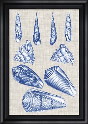 Framed Navy &amp; Linen Shells VI Print
