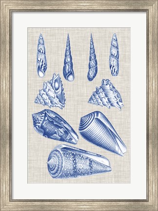 Framed Navy &amp; Linen Shells VI Print