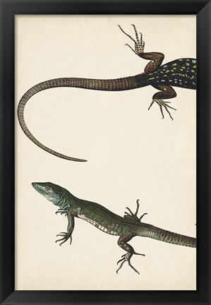 Framed Lizard Diptych I Print