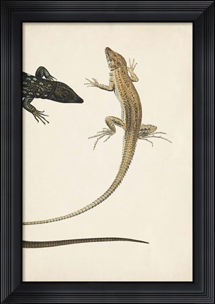 Framed Lizard Diptych II Print