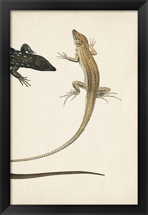 Framed Lizard Diptych II Print