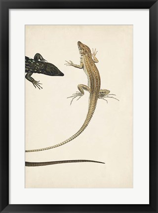 Framed Lizard Diptych II Print