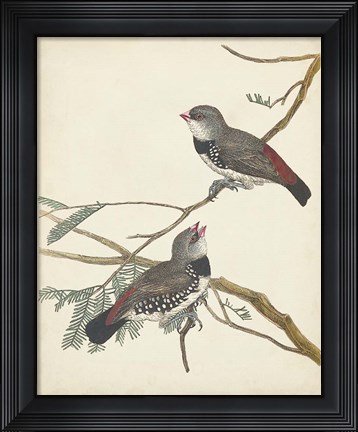 Framed Graceful Birds I Print