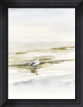 Framed Coastal Gull I Print