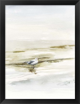 Framed Coastal Gull I Print