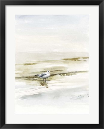 Framed Coastal Gull I Print