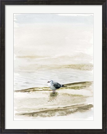 Framed Coastal Gull II Print