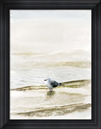 Framed Coastal Gull II Print