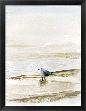 Framed Coastal Gull II Print