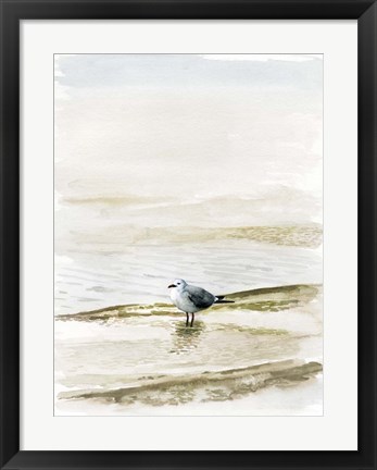 Framed Coastal Gull II Print