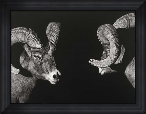 Framed Wild Scratchboard I Print