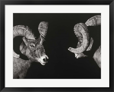 Framed Wild Scratchboard I Print