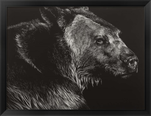 Framed Wild Scratchboard II Print