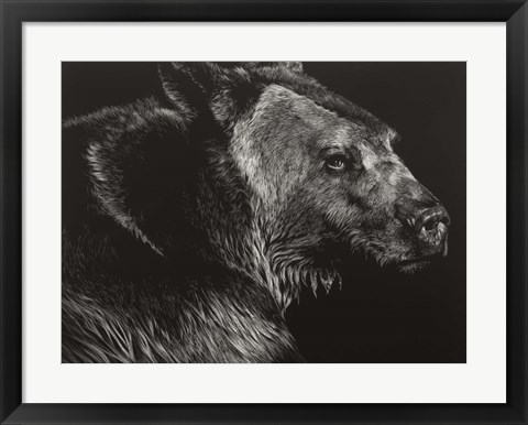 Framed Wild Scratchboard II Print