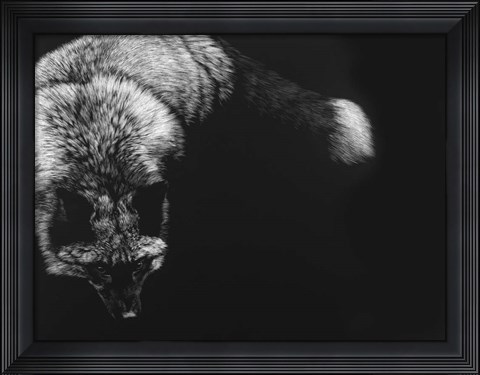 Framed Wild Scratchboard III Print