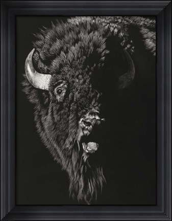 Framed Wild Scratchboard IV Print
