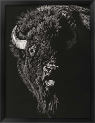 Framed Wild Scratchboard IV Print