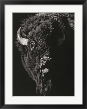 Framed Wild Scratchboard IV Print