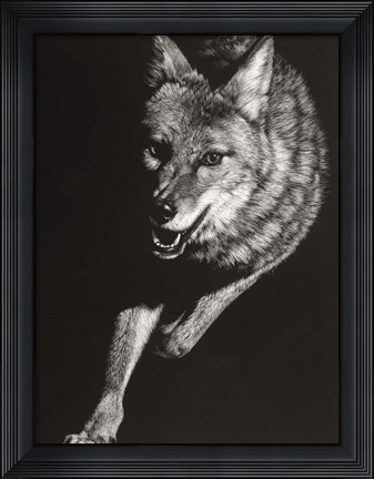 Framed Wild Scratchboard V Print