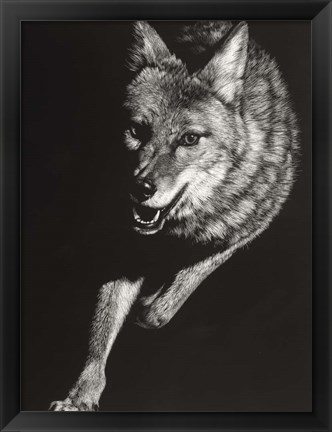 Framed Wild Scratchboard V Print