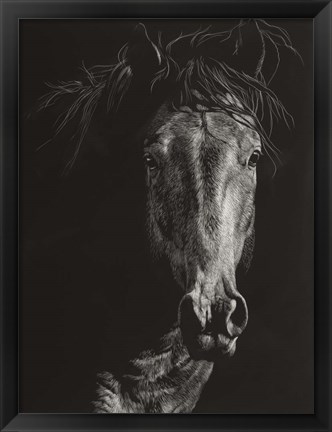 Framed Wild Scratchboard VI Print