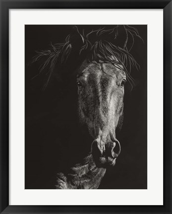 Framed Wild Scratchboard VI Print