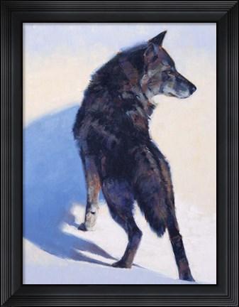 Framed Wolf Study I Print