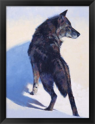 Framed Wolf Study I Print