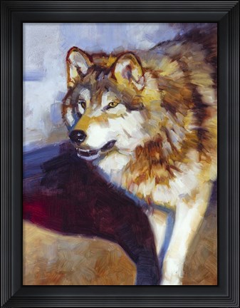 Framed Wolf Study II Print