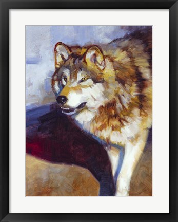 Framed Wolf Study II Print