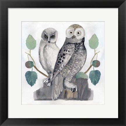 Framed Traditional Owls I Print