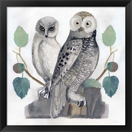 Framed Traditional Owls I Print