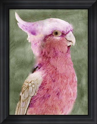 Framed Palm Springs Parrot I Print