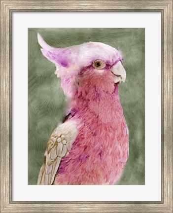 Framed Palm Springs Parrot I Print