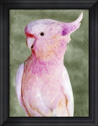 Framed Palm Springs Parrot II Print