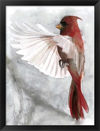 Framed Cardinals II Print
