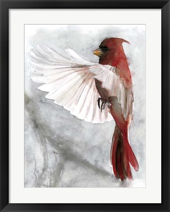 Framed Cardinals II Print