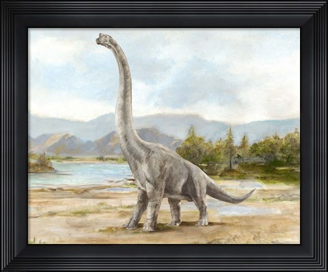 Framed Dinosaur Illustration IV Print
