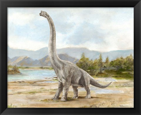 Framed Dinosaur Illustration IV Print