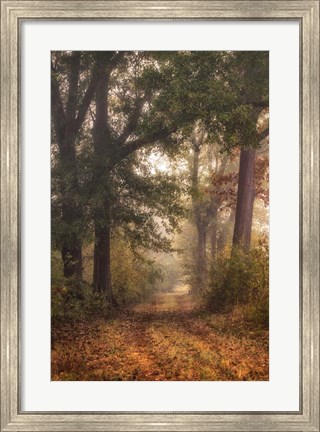 Framed Autumn&#39;s Walk I Print