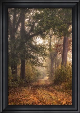 Framed Autumn&#39;s Walk I Print