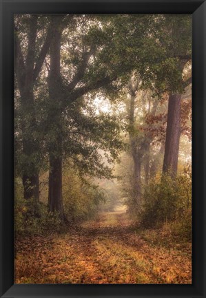 Framed Autumn&#39;s Walk I Print