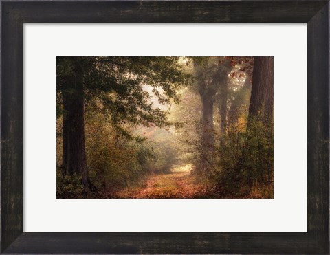 Framed Autumn&#39;s Walk II Print