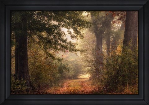 Framed Autumn&#39;s Walk II Print