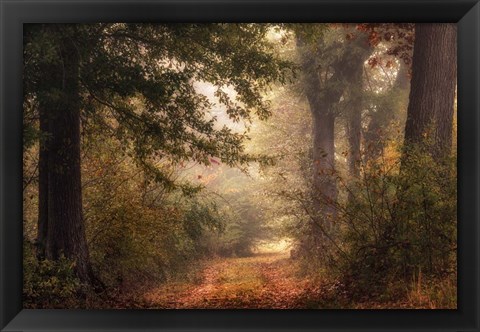 Framed Autumn&#39;s Walk II Print