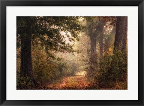 Framed Autumn&#39;s Walk II Print