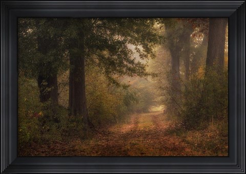 Framed Autumn&#39;s Walk III Print