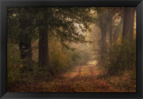 Framed Autumn&#39;s Walk III Print