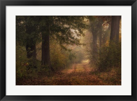 Framed Autumn&#39;s Walk III Print